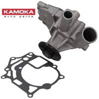 Kamoka T0175 Wasserpumpe Wapu FüR Nissan FüR Ldv