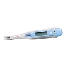 Jumbo Display Digital Thermometer Each