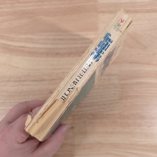 Jaws Peter Benchley 1975 Vintage Taschenbuch Bantam 7. Auflage - Bild 3 von 4