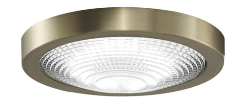 Fanimation Spitfire Ceiling Fan Light Kit in Brushed Satin Brass - Picture 1 of 1