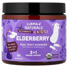 Kids Elderberry, Real Fruit Gummies, Very Berry Elderberry, 60 Gummies