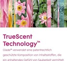Bild 10 von 11