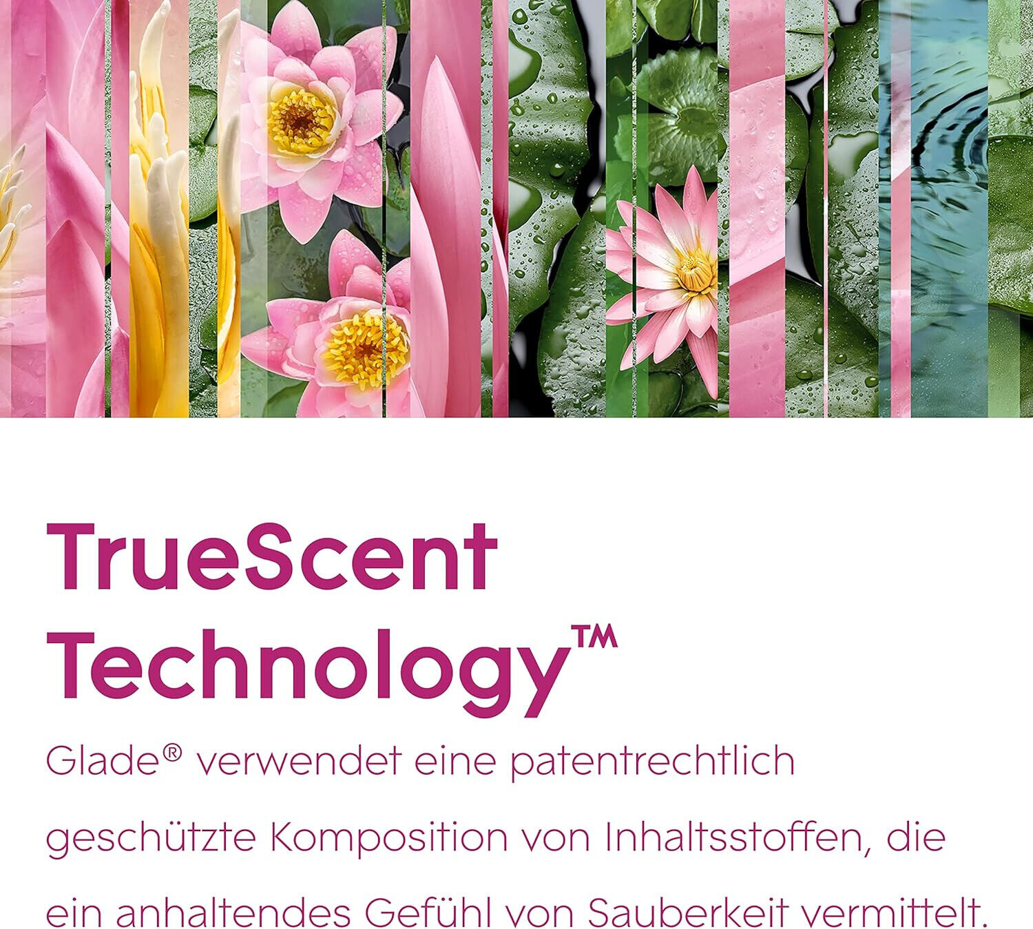 Bild 10 von 11