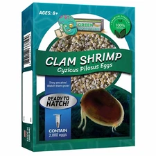 Clam Shrimp Eggs Pure 2,000 Eggs For Hatching and Culture