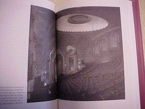 The Southern Movie Palace: Rise, Fall, and Resurrection by Janna Jones - Picture 3 of 3