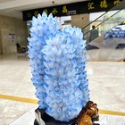 Foto 11 di 20
