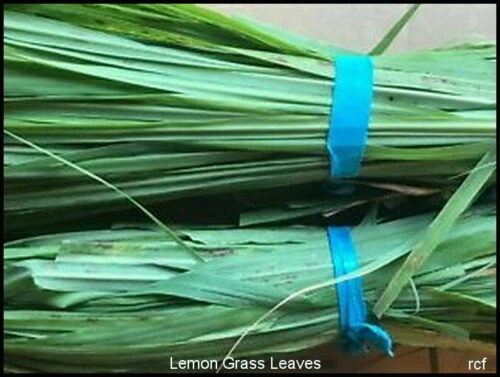 Markenlose Zitrone Tee