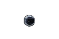 Maxgear 21-0390 Sensor, Kraftstoffdruck FüR CitroËN Passend FüR Fiat