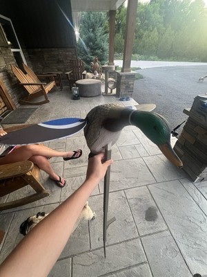 MOJO Outdoors Mallard Lite Duck Decoy | Lifelike Motion Decoys for Duck Hunting