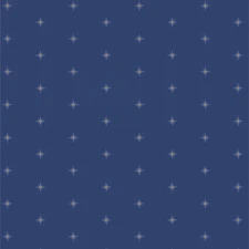 Shining in Stardusk | Starling | Art Gallery