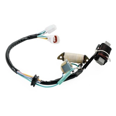 Lichtmaschine Stator für Yamaha YFM 50 80 Raptor / Grizzly 80 / Badger 80 95-08