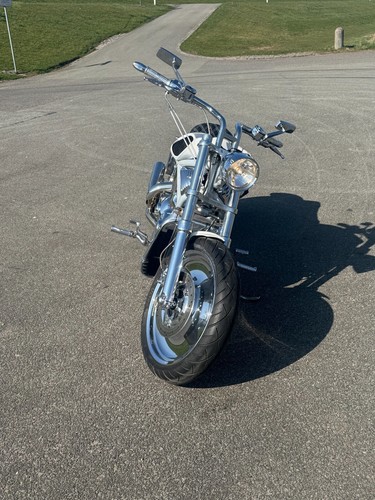 Harley-Davidson V-Rod 1130 VRSCA 2003 Anniversary - Bild 2 von 17