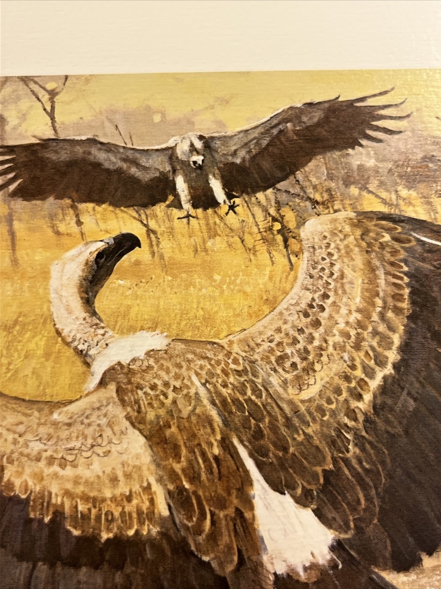 ビリヤードキューVULTURE DSC02730__05908.1583435086.