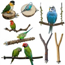 Natural Bird Perches for Sale, Bird Cage Perches, Parakeet Perches Set, Bird