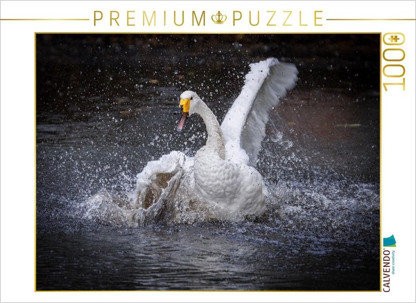 Calvendo Puzzle Dance 02 | 1000 Pieces, Finished Size 25.2 × 18.9 In (64 × 48 Cm-image