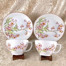 Hermes Paris Tea Cup Saucer Jardin des Orchidees 18 Porcelain Tableware 2 Sets