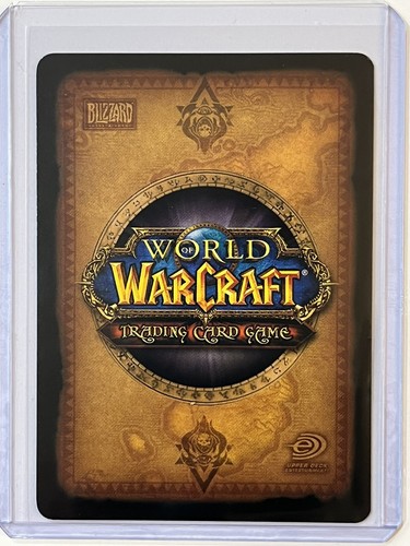 2006 World Of Warcraft LOREKEEPER DARIAN Rare #202 Heroes Of Azeroth WoW NM/Mint - Picture 2 of 2