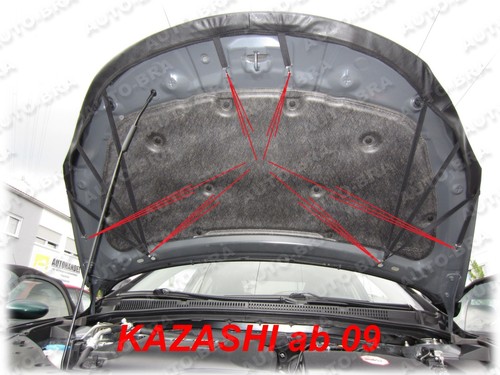 Sujetador de aspecto de carbono capó para Suzuki Kizashi protección contra impactos de piedras capó tuning - Imagen 3 de 6