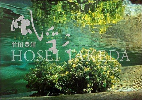 Fusai: Colección de obras de Toyoyasu Takeda - Imagen 1 de 1