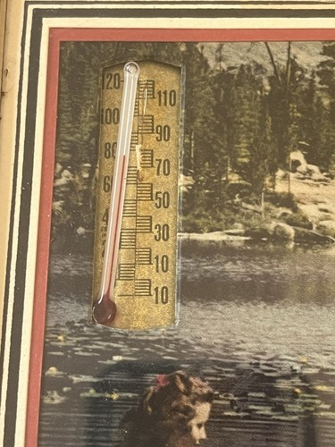 Ancien thermomètre publicitaire Barron Wisconsin femme en rivière calendrier 1949 WI - Photo 4/11