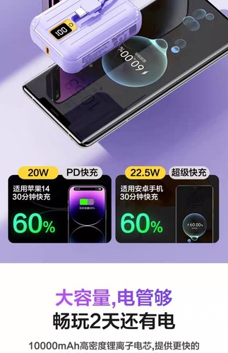 Power Tiny 30W 10000mAh With Dual Cable Power Bank - Picture 4 of 4