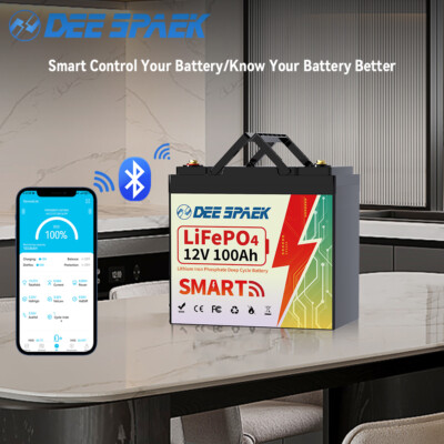 12V 100Ah LiFePO4 Lithium Battery Mini Bluetooth Monitorin 8000+Cycles RV Solar 