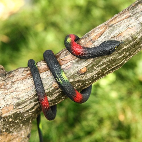 4 Pack Realistic Rubber Snakes 29 Inch Lifelike Toy Real Scary Prank Joke Garden - Picture 2 of 16
