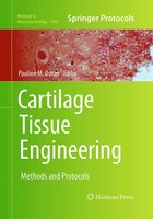 Pauline M. Doran | Cartilage Tissue Engineering | Taschenbuch | Englisch (2016)