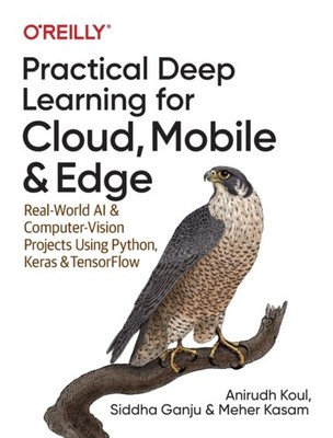 Practical Deep Learning for Cloud and Mobile by Anirudh Koul PAPERBACK