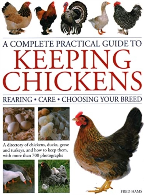 Keeping Chickens, Complete Practical Guide to by Fred Hams (Hardback Book)