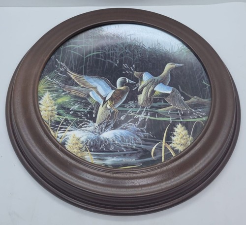 Plato de coleccionista de pato enmarcado Heavenward Michael Budden Free as the Wind Knowles - Imagen 5 de 7