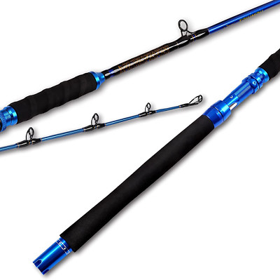 Saltwater Graphite Glass Jig Jigging Casting Rod Deep Sea Offshore Fishing Pole