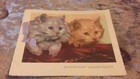 Foto 1 di 6