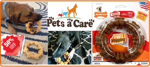 nylabone durachew textured ring