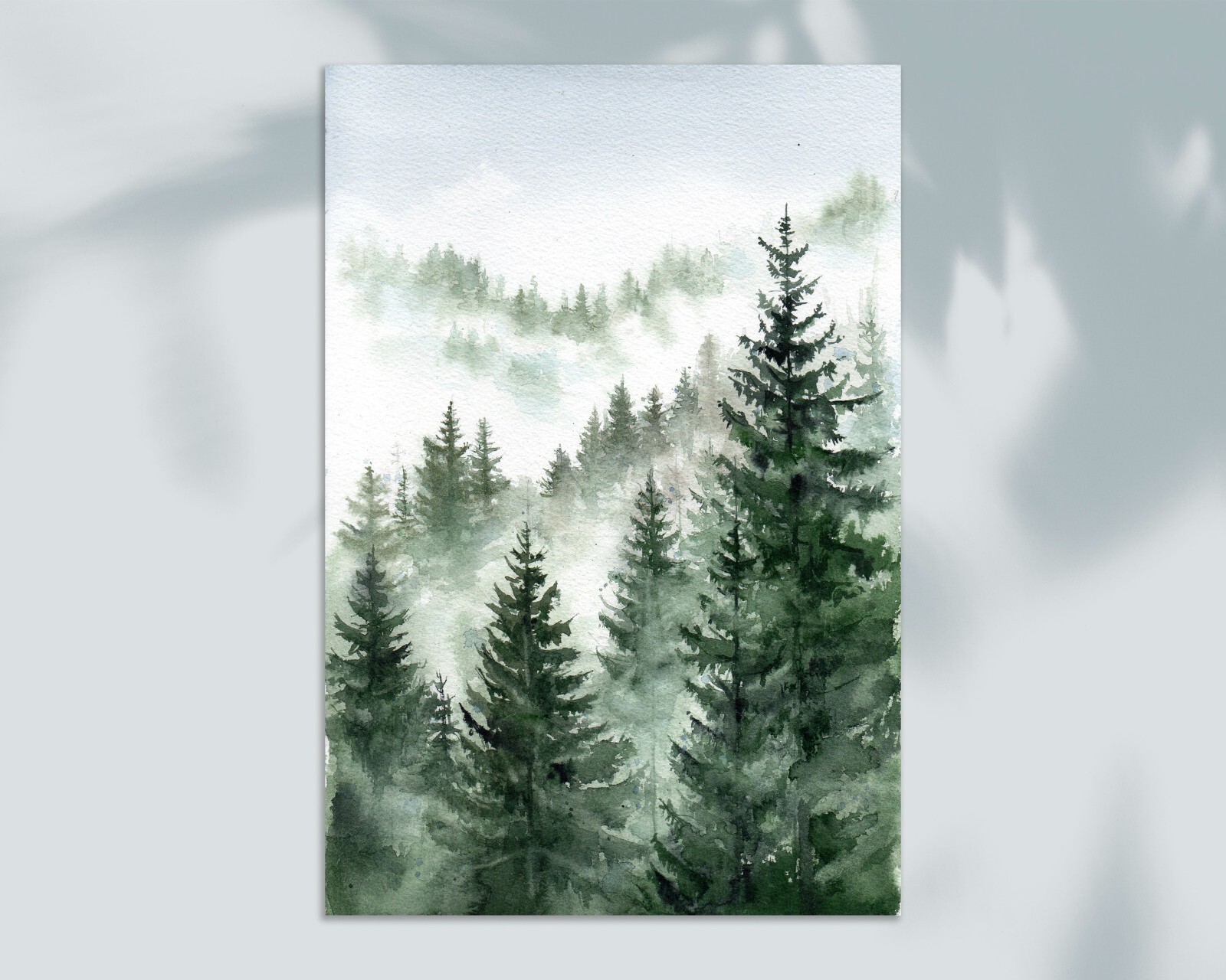Bild 2 von 8