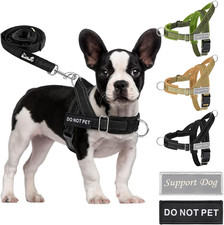 No Pull Dog Harness - Heavy Duty Dog Harness and Leash Set for Medium Large Dogs