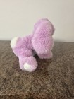Foto 5 di 6