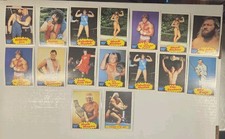 1985 Topps WWF Pro Wrestling Stars Wrestling Cards 22