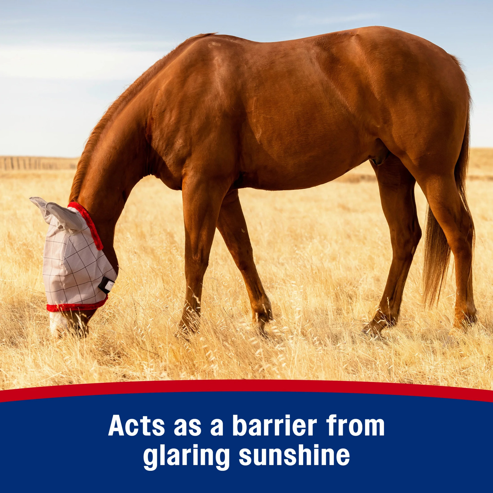 Supermask II Horse Fly Mask with Ears Assorted Average Size Horse