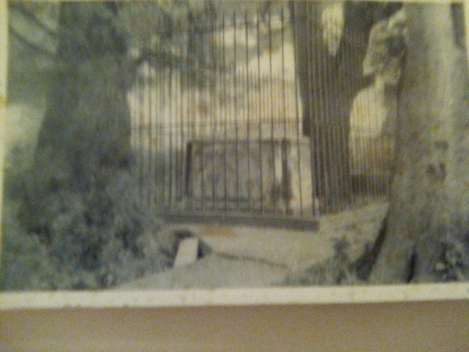 postcard Custis Tomb , Near Kiptopeak ,Va. Honorable John Custos esq.