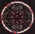 Amaryllis von Shinedown (2012)