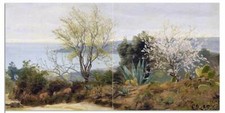 Tile Mural Sea Bay Mountains C. Zacho Kitchen Bathroom Backsplash Marble Ceramic