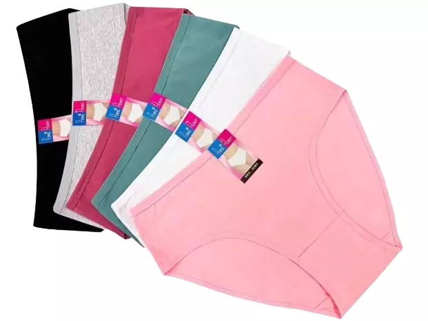 Ladies Underwear High Waist Cotton Panty Full Brief 10 Pack Plus