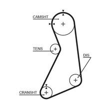 Gates Zahnriemen 5541XS für FORD
