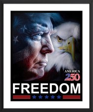 DONALD TRUMP AMERICA 250 FREEDOM - LIMITED ED...