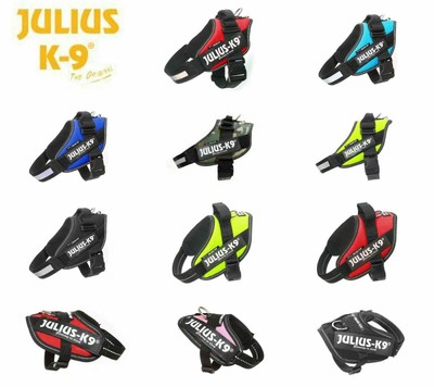 sizing for julius k9 harness
