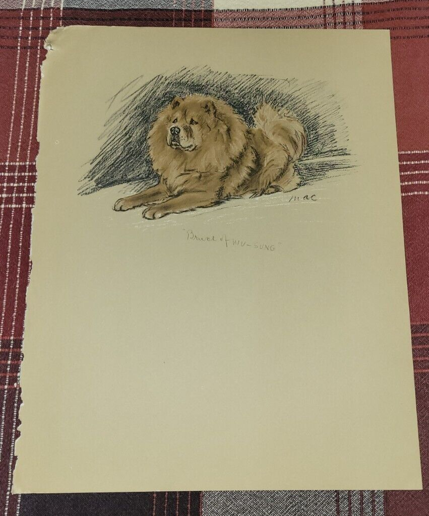 Picture 2 of 2
