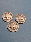 1913 Type 1 P D & S Buffalo Nickels (Dateless) - Free Shipping- A497