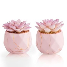 Artificial Succulent Plants in 2 Ceramic Pots, Cute Fake Plants for Vanity Pink