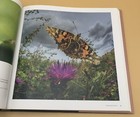 Bild 8 von 8